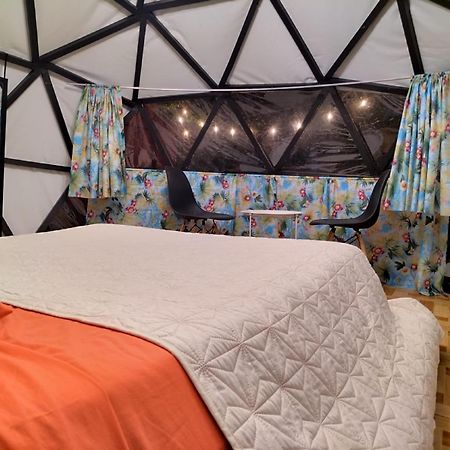 Boruka Bnb Hotel Alajuela Luaran gambar